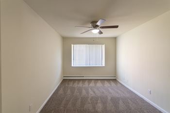 Ceiling fans