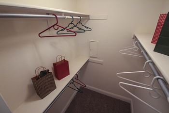 Large, walk-in closet