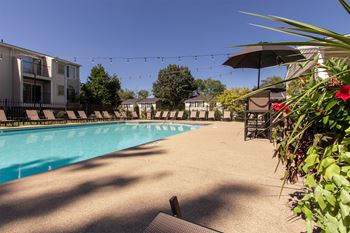 Sparkling swimming pool