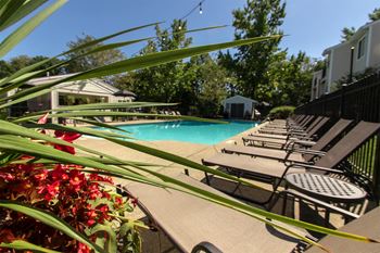 Sparkling swimming pool