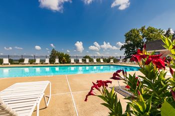 Two sparkling swimming pools