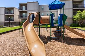 Dallas apartment for rent - The playground at The Biltmore Apartments located in the Vickery Midtown neighborhood of Dallas, TX.