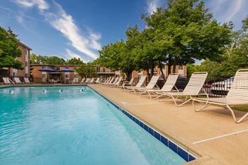 Sparkling swimming pool