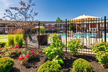 Sparkling swimming pool
