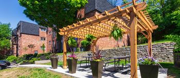 Bbq/picnic area
