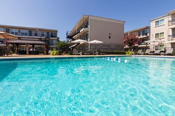 Sparkling swimming pool