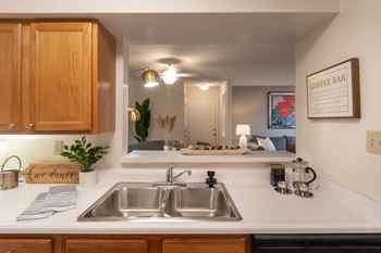 Kitchen sink