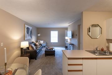 Centerville apartment for rent - a living room with a couch and a chair and a kitchen with a sink