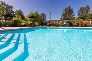 Sparkling swimming pool