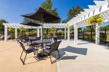 Sparkling swimming pool