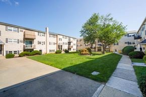 Philadelphia apartment for rent - A tree in front of apartment buildings at Krewstown Park Apartments, Philadelphia