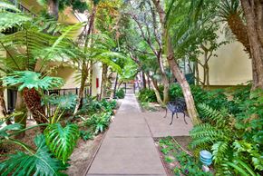 Torrance apartment for rent - a path through a courtyard with palm trees and plants at Casa De Oro Apartments, California