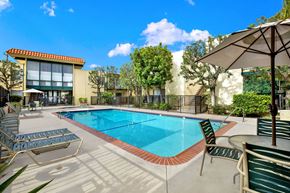 Torrance apartment for rent - the swimming pool at our apartments at Copa Triana Apartments, Torrance, CA