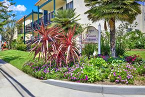 Torrance apartment for rent - a garden in front of a building with palm trees and flowers at Copa Triana Apartments, Torrance, CA 90505