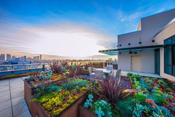 360 View rooftop deck