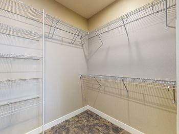 Empty walk-in closet with shelves and a carpeted floor.