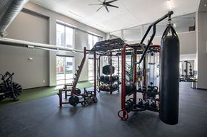 Des Moines apartment for rent - A gym with a punching bag, weights, and exercise equipment.at Linc, Iowa   