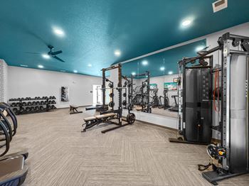 A gym with weights and cardio equipment and a blue ceiling