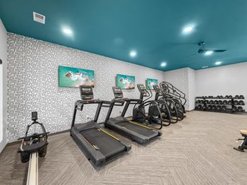 A row of treadmills in a gym with a wall of cardio equipment