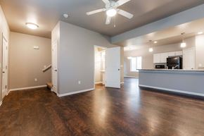 Carlisle apartment for rent - Living And Kitchen at Danamere Village, Carlisle, Iowa