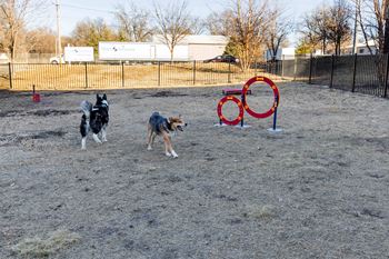 Pet park