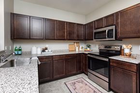 Ankeny apartment for rent - modern kitchen with stainless steel appliances and wood cabinets at Lake Shore Apartments, Ankeny, IA