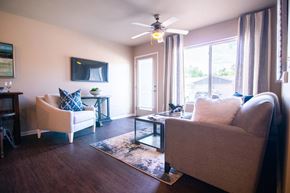 Des Moines apartment for rent - A living room with a couch, chair, and a rug.