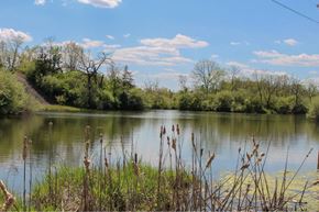 Carlisle apartment for rent - A serene lake surrounded by greenery under a clear sky. at Danamere Village, Carlisle, IA, 50047