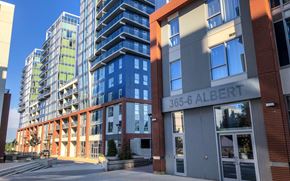 Waterloo apartment for rent - A building with the name 365-6 ALBERT on it.