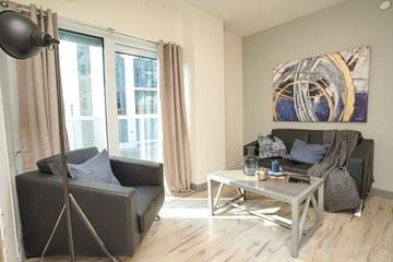 Waterloo apartment for rent - A living room with a grey couch, a coffee table, and a painting on the wall.