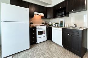 Waterloo apartment for rent - a kitchen with white appliances and black cabinets