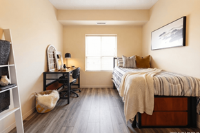 Waterloo apartment for rent - A bedroom with a bed, desk, chair, and a cat.