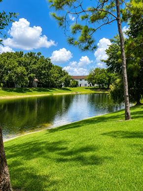 Bonita Springs apartment for rent - A serene landscape with a pond, trees, and a house in the distance.