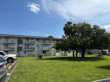 Cutler Bay apartment for rent - A tree in a grassy area in front of a white building.