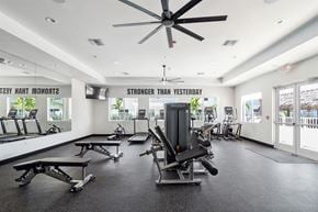 Ft Myers townhouse for rent - The gym at the monarch luxury apartments in des plaines
