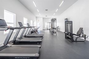 New Port Richey apartment for rent - the gym is equipped with cardio equipment and weights