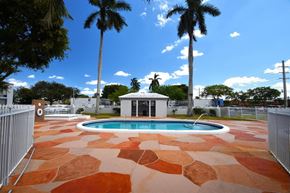 Oakland Park apartment for rent - the pool is surrounded by palm trees and a white gazebo