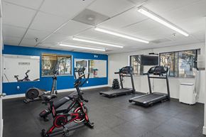 Albany apartment for rent - A gym with a blue wall and exercise equipment.