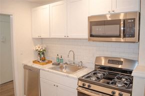 Kingston apartment for rent - Kitchen3