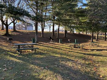 Bbq/picnic area