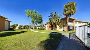 Merritt Island apartment for rent - A sunny day at a residential area with houses and palm trees.