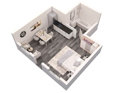 Floor plan for studio, 1 bath, 250 sqft