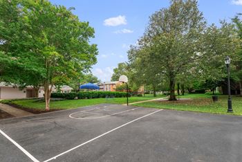 Basketball court