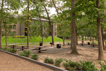 Bbq and picnic areas