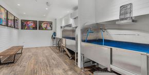 Washington apartment for rent - a laundry room with a sink and a blue pool