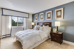 Alexandria apartment for rent - A bedroom with a large bed, a nightstand with a lamp, and pictures on the wall.
