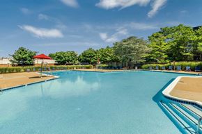 Alexandria apartment for rent - A large swimming pool with a red roof and trees in the background.