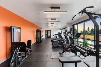 Gym with cardio equipments