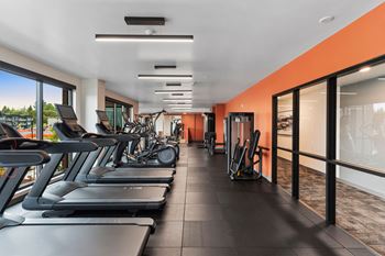 Gym with cardio machines