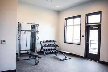 Free weights in 24 hour fitness